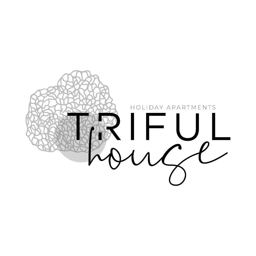 Trifulhouse Holiday Apartments アルバ エクステリア 写真