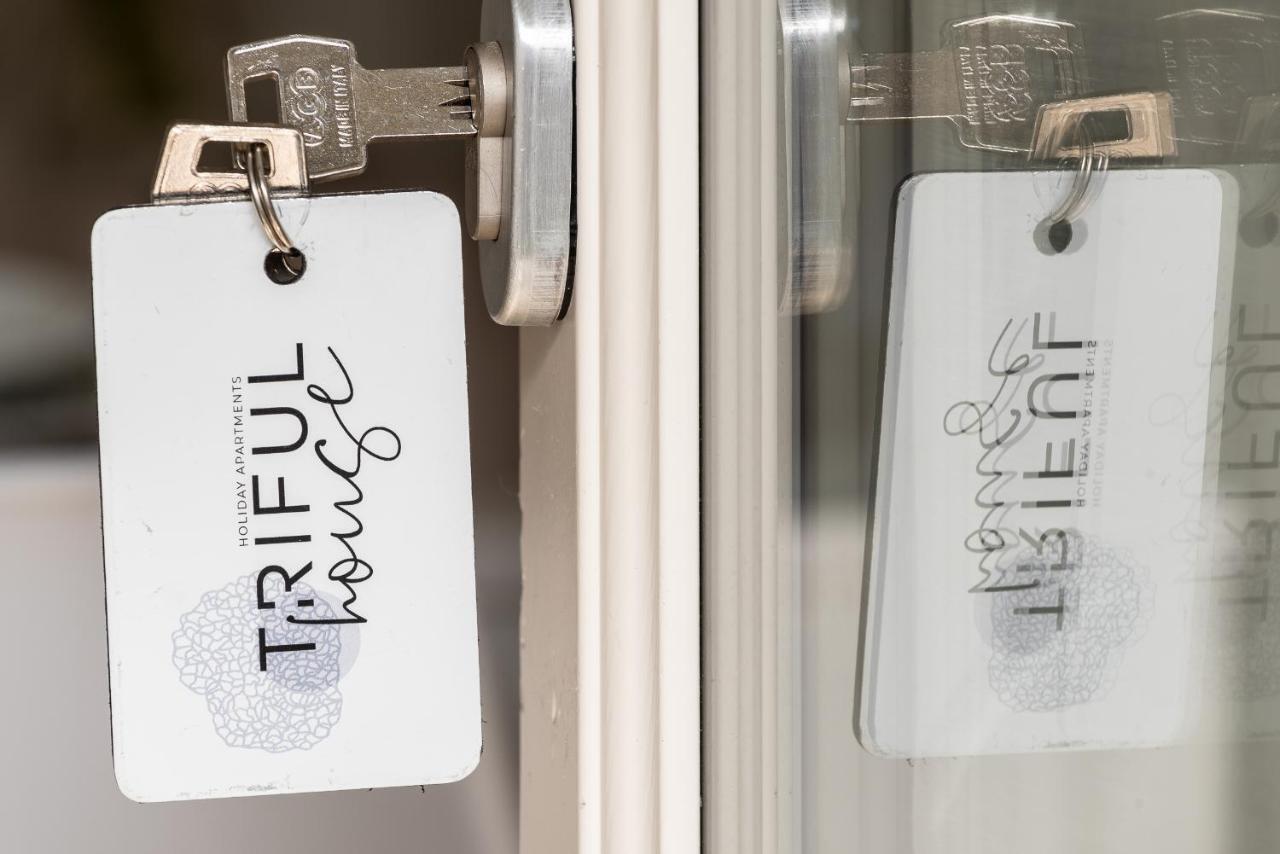 Trifulhouse Holiday Apartments アルバ エクステリア 写真
