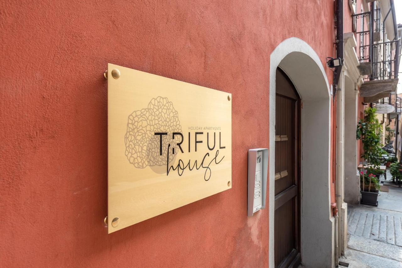 Trifulhouse Holiday Apartments アルバ エクステリア 写真
