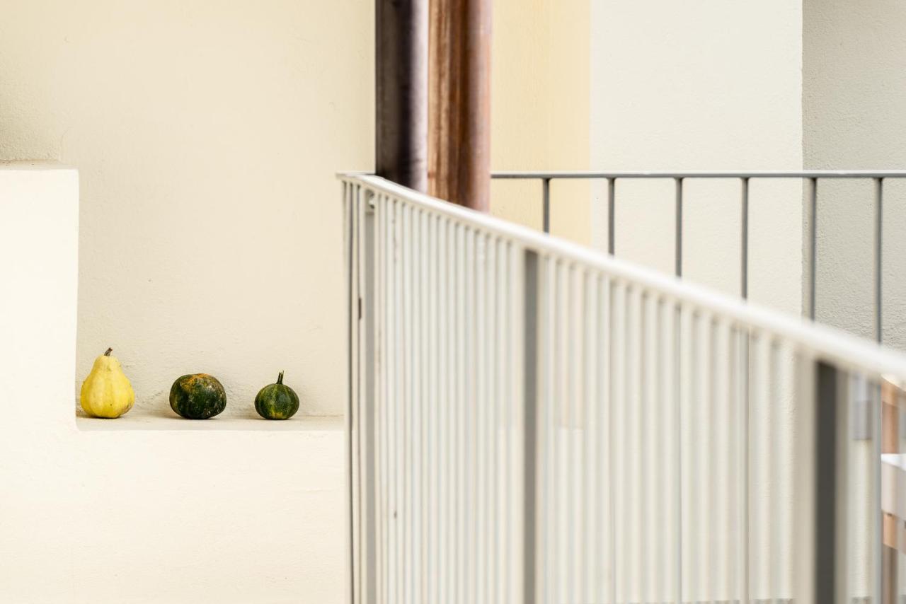 Trifulhouse Holiday Apartments アルバ エクステリア 写真